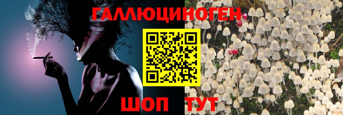 Галлюциногенные грибы Magic Shrooms  Вход с VPN  Санкт-Петербург 