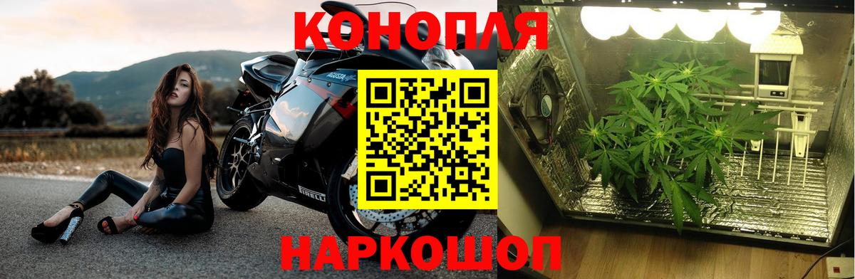 Конопля индика Санкт-Петербург